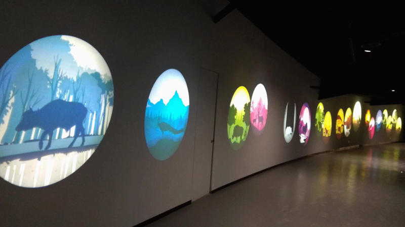 The application of gobo projector in the museum(图5)