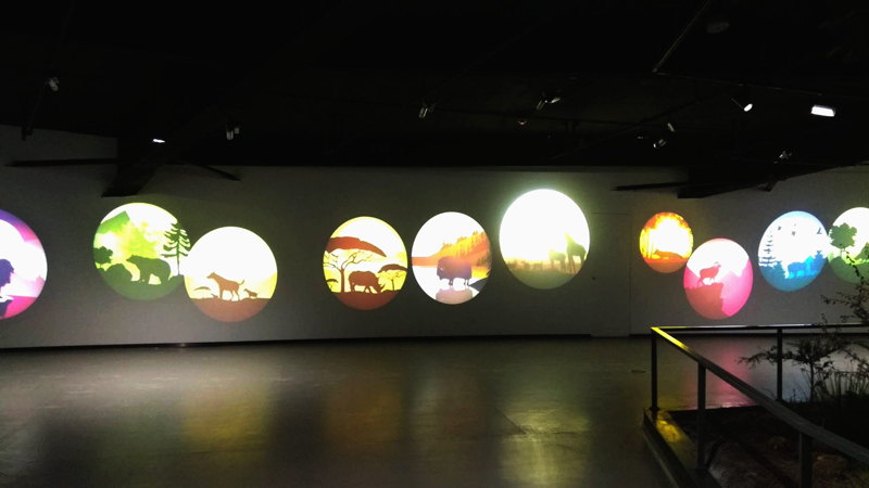 The application of gobo projector in the museum(图6)